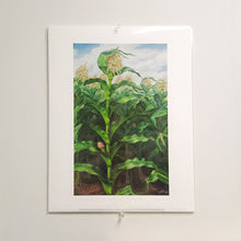 Load image into Gallery viewer, Kansas Cornfield Curry Print