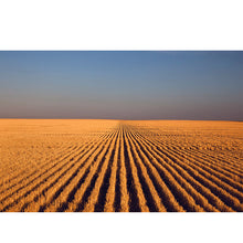 Load image into Gallery viewer, Kansas Collection Note Cards