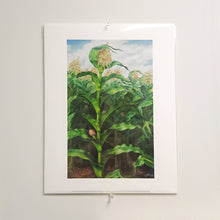 Load image into Gallery viewer, Kansas Cornfield Curry Print
