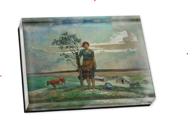 NC Wyeth's 